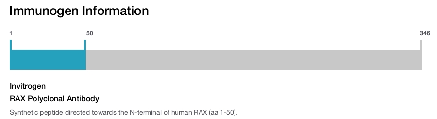 RAX Polyclonal Antibody