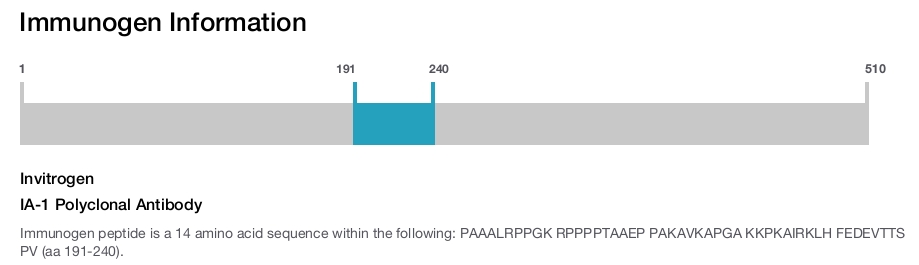 IA-1 Polyclonal Antibody