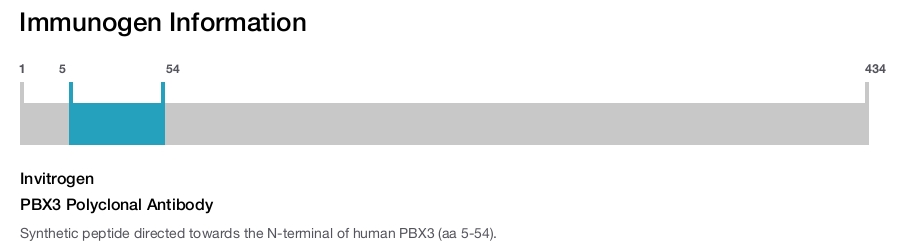 PBX3 Polyclonal Antibody