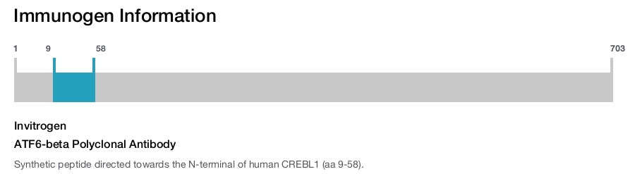 ATF6-beta Polyclonal Antibody