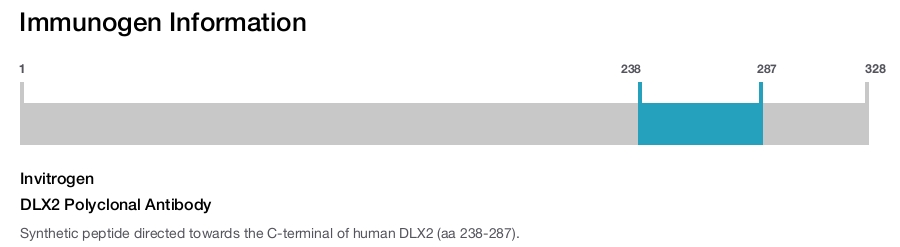 DLX2 Polyclonal Antibody