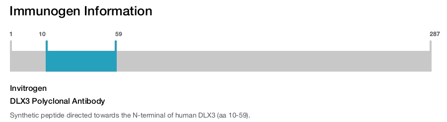 DLX3 Polyclonal Antibody