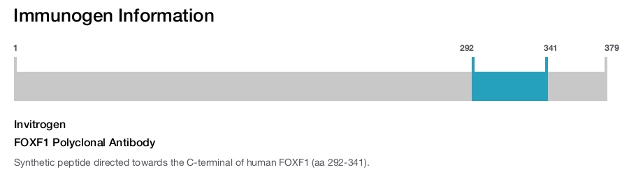 FOXF1 Polyclonal Antibody
