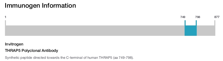 THRAP5 Polyclonal Antibody