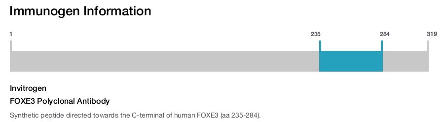 FOXE3 Polyclonal Antibody