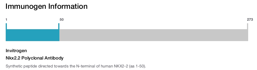 Nkx2.2 Polyclonal Antibody