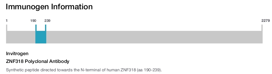 ZNF318 Polyclonal Antibody
