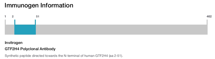 GTF2H4 Polyclonal Antibody