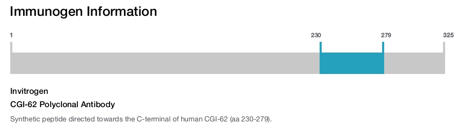 CGI-62 Polyclonal Antibody
