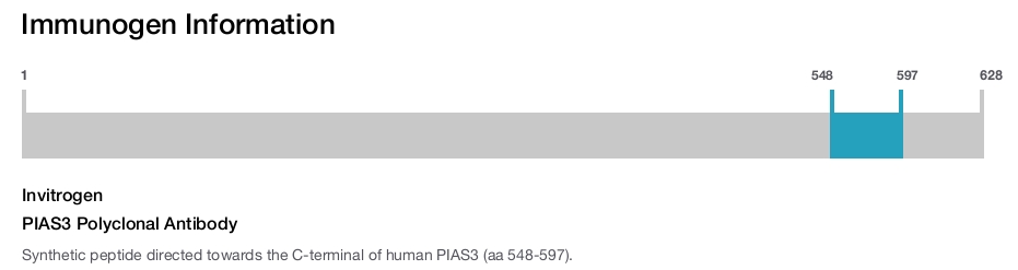 PIAS3 Polyclonal Antibody