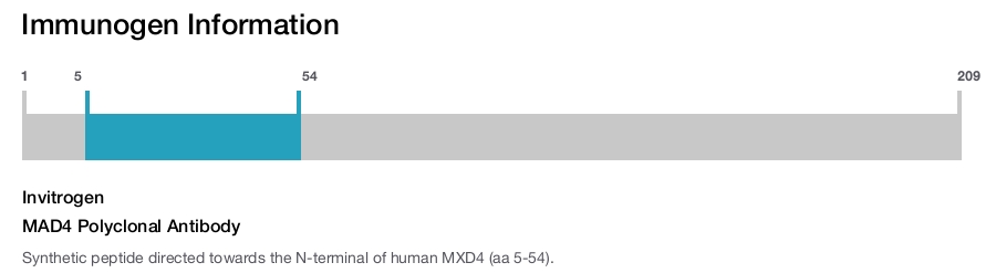 MAD4 Polyclonal Antibody