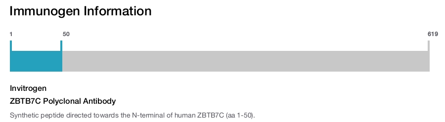 ZBTB7C Polyclonal Antibody