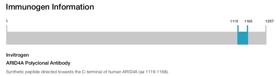 ARID4A Polyclonal Antibody