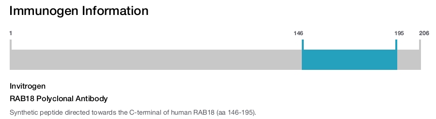 RAB18 Polyclonal Antibody