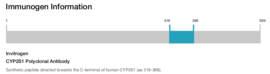 CYP2S1 Polyclonal Antibody