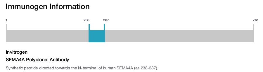 SEMA4A Polyclonal Antibody