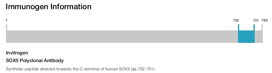 SOX5 Polyclonal Antibody