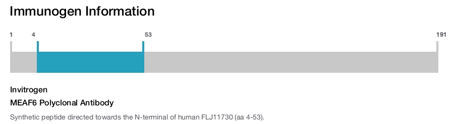 MEAF6 Polyclonal Antibody