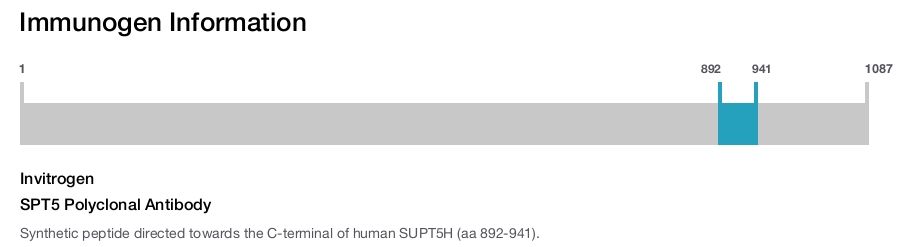 SPT5 Polyclonal Antibody