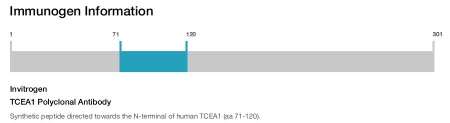 TCEA1 Polyclonal Antibody
