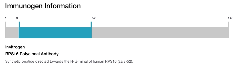 RPS16 Polyclonal Antibody