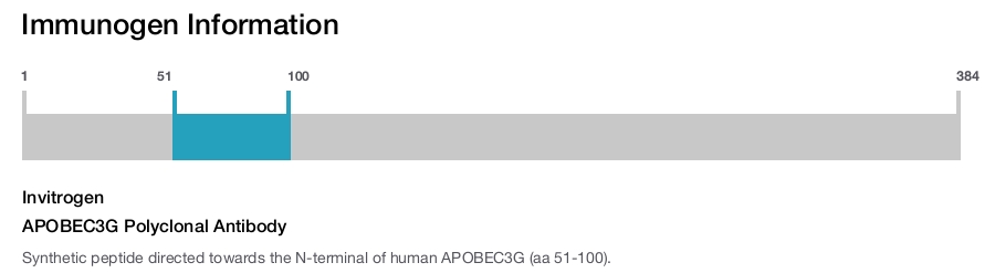 APOBEC3G Polyclonal Antibody