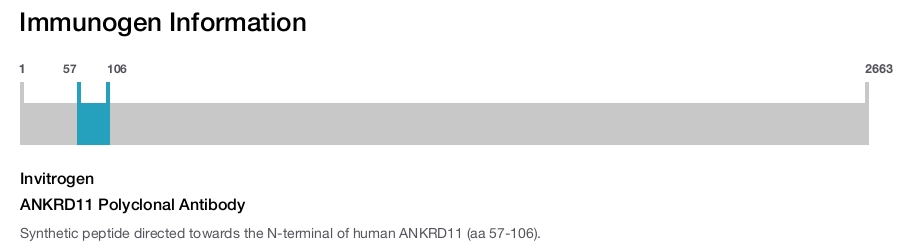ANKRD11 Polyclonal Antibody