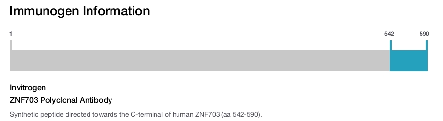 ZNF703 Polyclonal Antibody