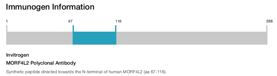 MORF4L2 Polyclonal Antibody