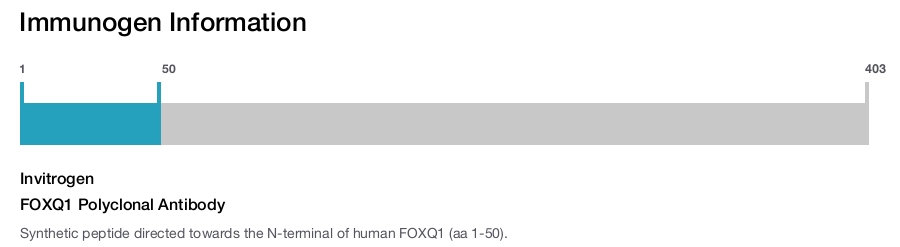 FOXQ1 Polyclonal Antibody