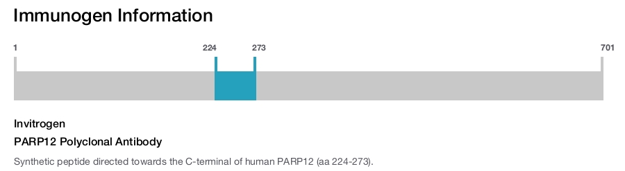PARP12 Polyclonal Antibody
