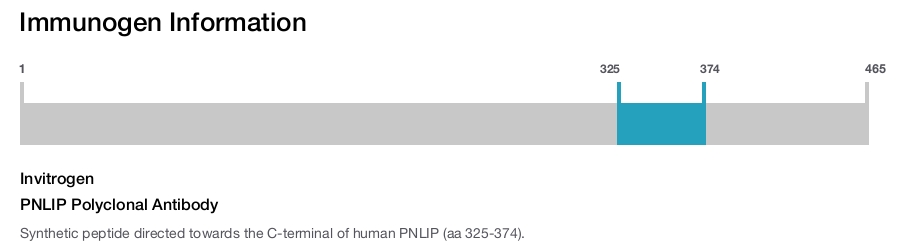 PNLIP Polyclonal Antibody
