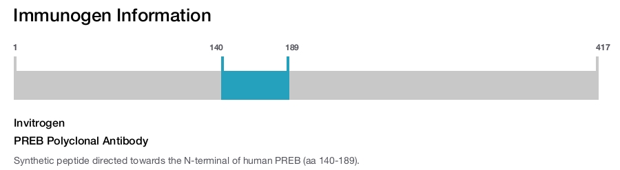 PREB Polyclonal Antibody