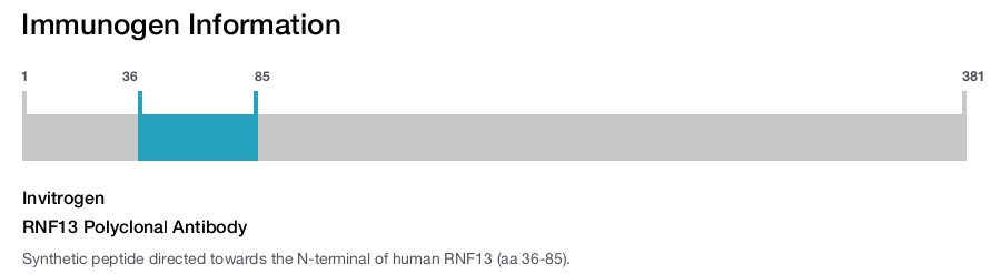 RNF13 Polyclonal Antibody