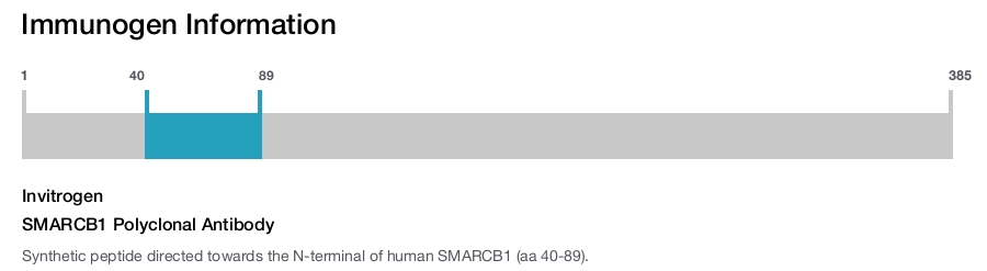 SMARCB1 Polyclonal Antibody