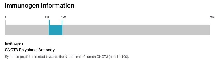 CNOT3 Polyclonal Antibody