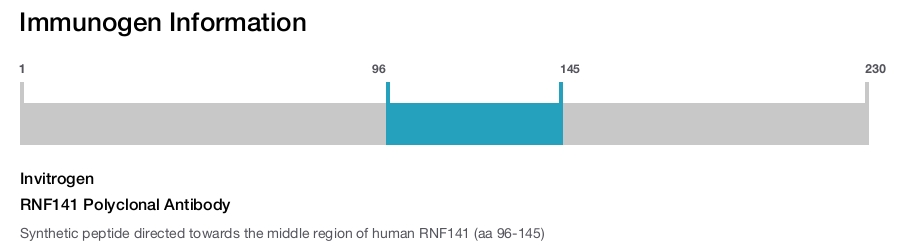 RNF141 Polyclonal Antibody
