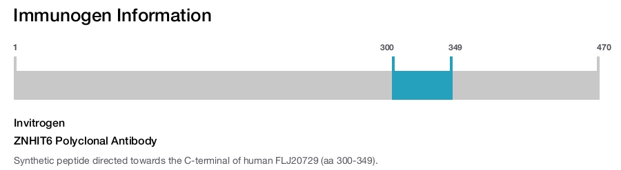ZNHIT6 Polyclonal Antibody