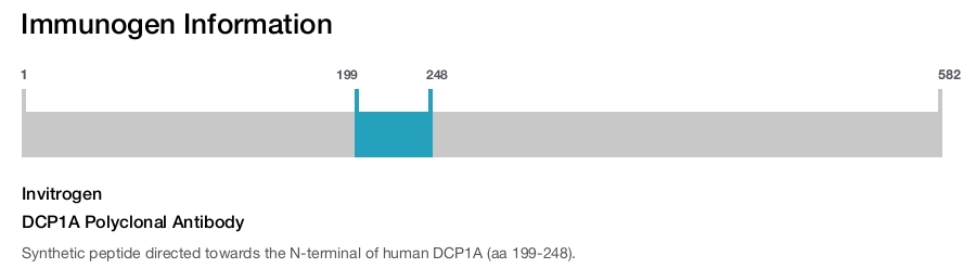 DCP1A Polyclonal Antibody
