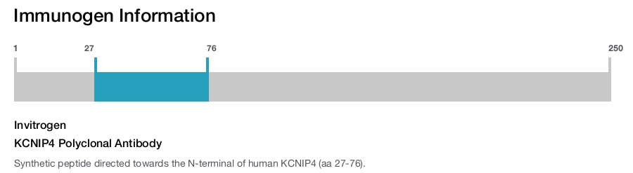 KCNIP4 Polyclonal Antibody