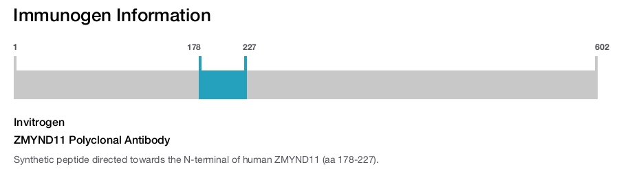 ZMYND11 Polyclonal Antibody