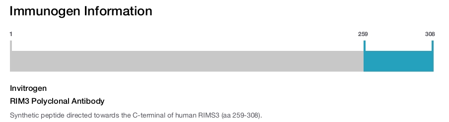 RIM3 Polyclonal Antibody
