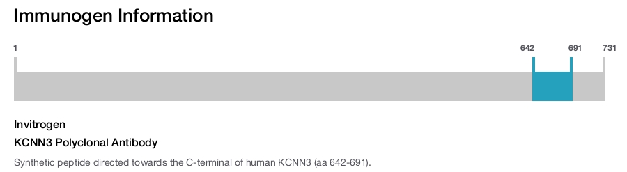 KCNN3 Polyclonal Antibody