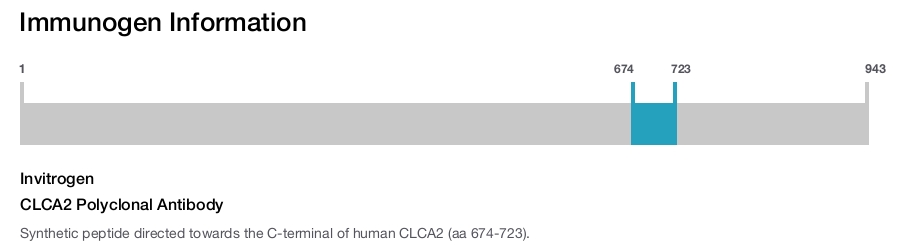 CLCA2 Polyclonal Antibody