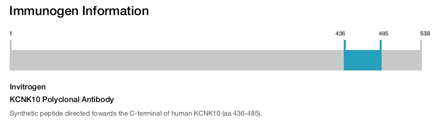 KCNK10 Polyclonal Antibody