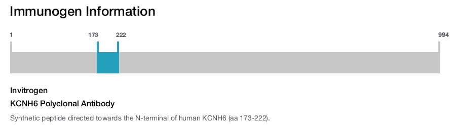 KCNH6 Polyclonal Antibody