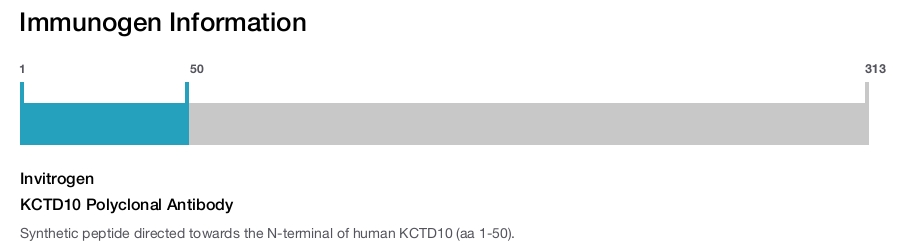 KCTD10 Polyclonal Antibody