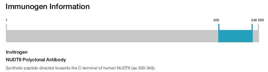NUDT9 Polyclonal Antibody