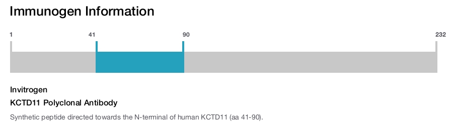 KCTD11 Polyclonal Antibody