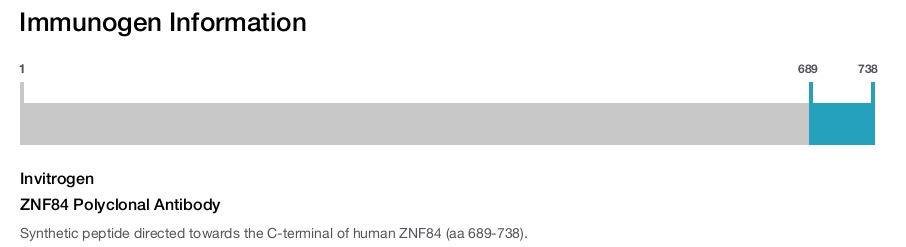 ZNF84 Polyclonal Antibody